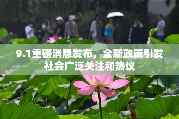 9.1重磅消息发布，全新政策引发社会广泛关注和热议
