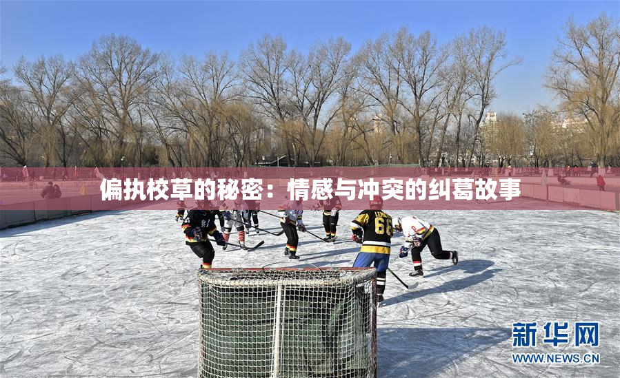 偏执校草的秘密：情感与冲突的纠葛故事