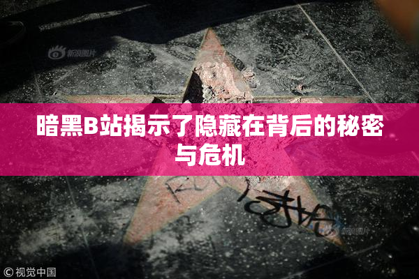 暗黑B站揭示了隐藏在背后的秘密与危机