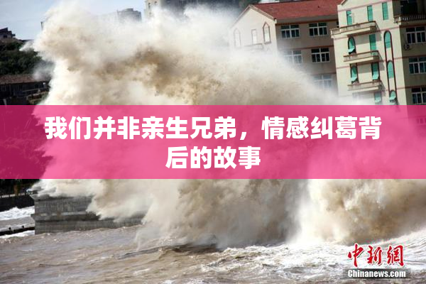 我们并非亲生兄弟，情感纠葛背后的故事