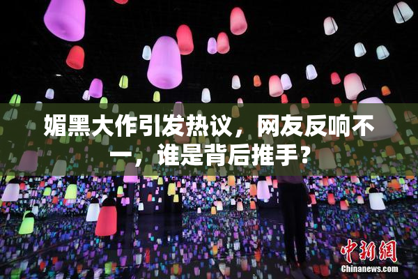 媚黑大作引发热议，网友反响不一，谁是背后推手？
