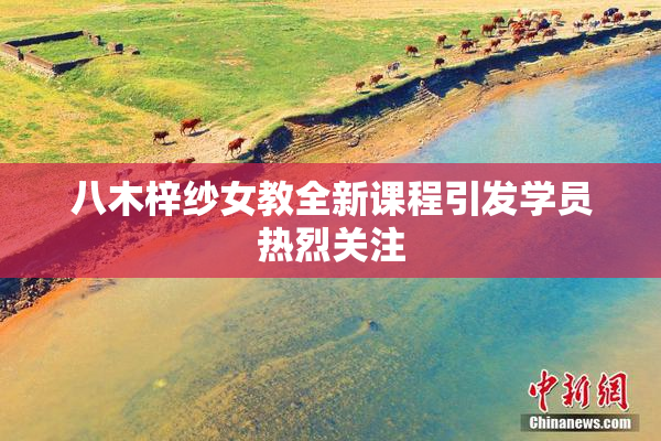 八木梓纱女教全新课程引发学员热烈关注
