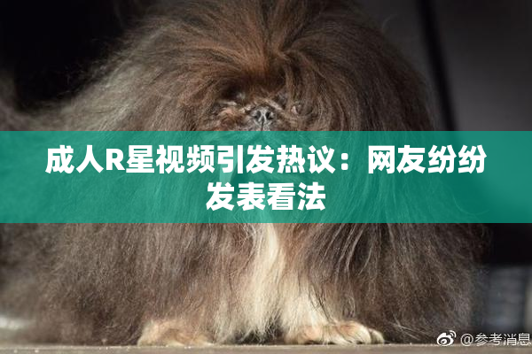 成人R星视频引发热议：网友纷纷发表看法