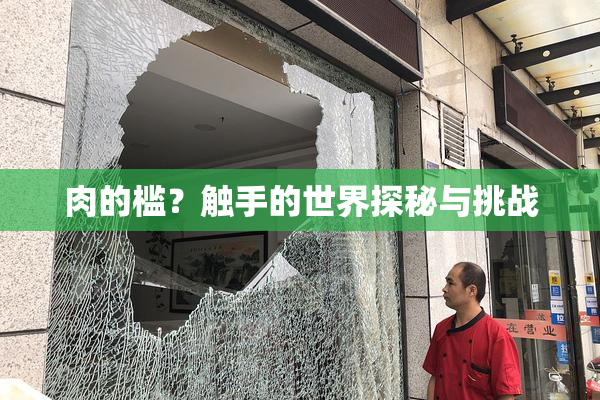 肉的槛？触手的世界探秘与挑战