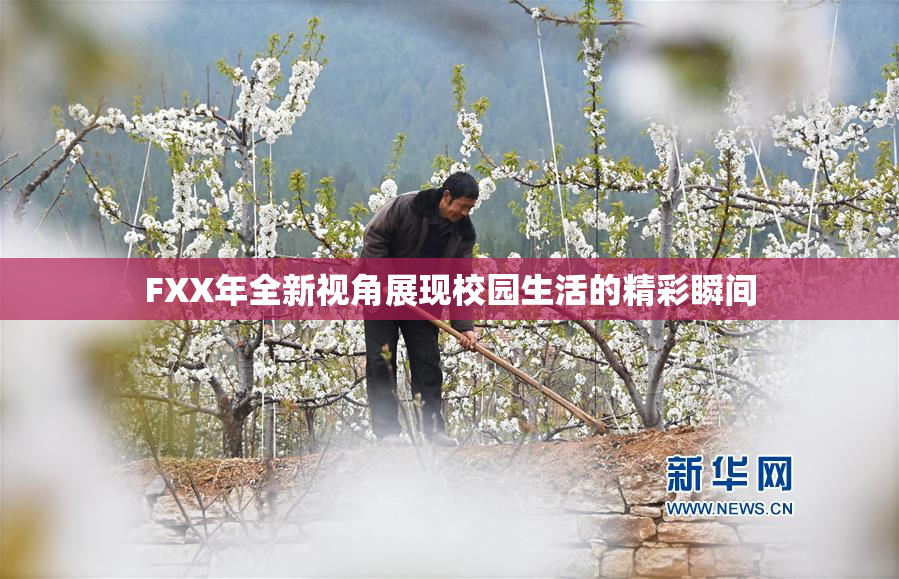 FXX年全新视角展现校园生活的精彩瞬间