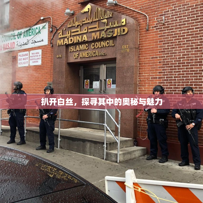 扒开白丝，探寻其中的奥秘与魅力