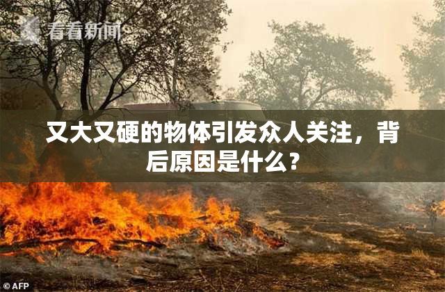 又大又硬的物体引发众人关注，背后原因是什么？