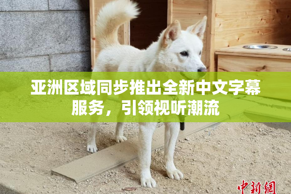 亚洲区域同步推出全新中文字幕服务，引领视听潮流