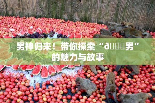 男神归来！带你探索“😚男”的魅力与故事