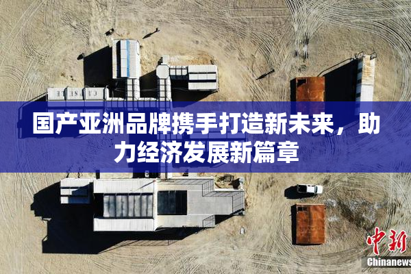 国产亚洲品牌携手打造新未来，助力经济发展新篇章
