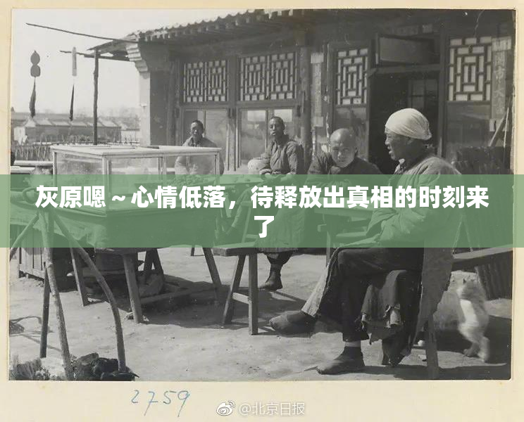 灰原嗯～心情低落，待释放出真相的时刻来了