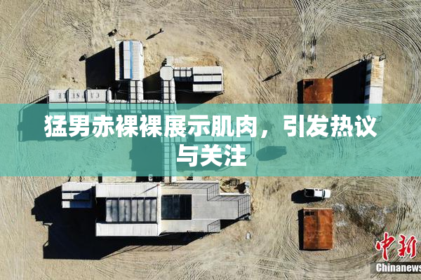猛男赤裸裸展示肌肉，引发热议与关注