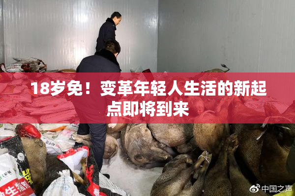 18岁免！变革年轻人生活的新起点即将到来