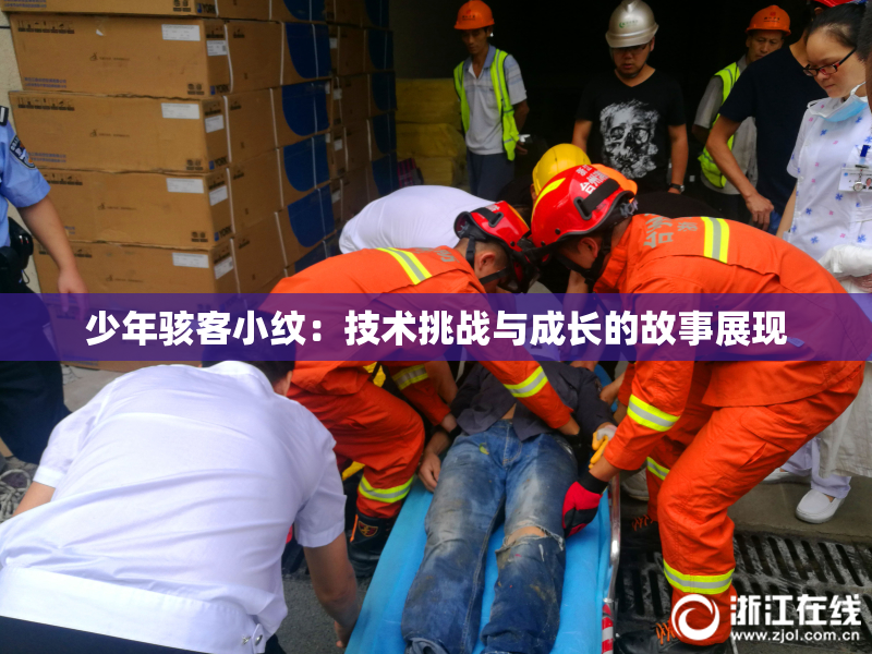 少年骇客小纹：技术挑战与成长的故事展现