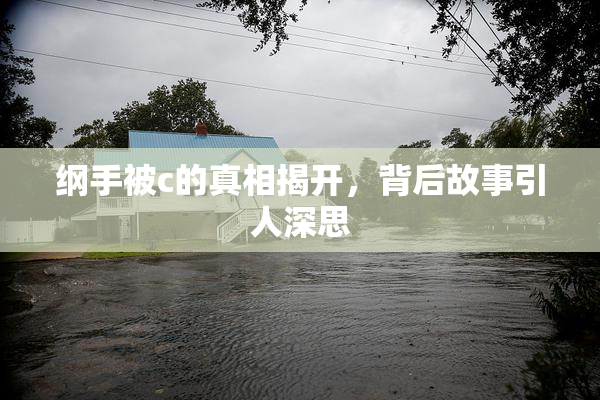 纲手被c的真相揭开，背后故事引人深思