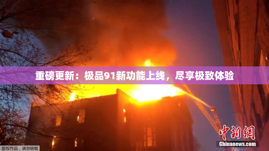 重磅更新：极品91新功能上线，尽享极致体验