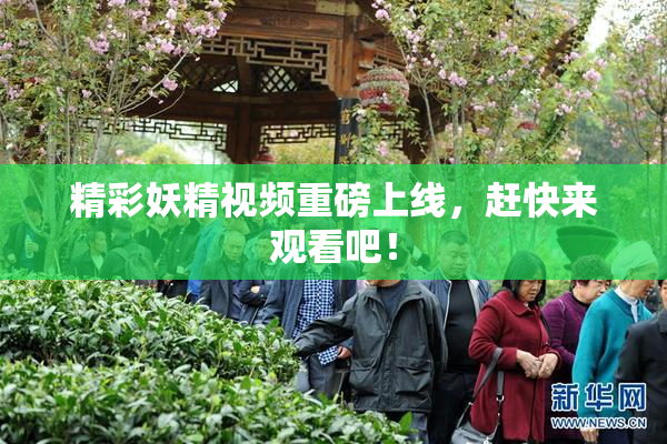 精彩妖精视频重磅上线，赶快来观看吧！