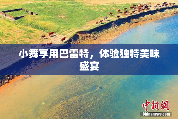 小舞享用巴雷特，体验独特美味盛宴