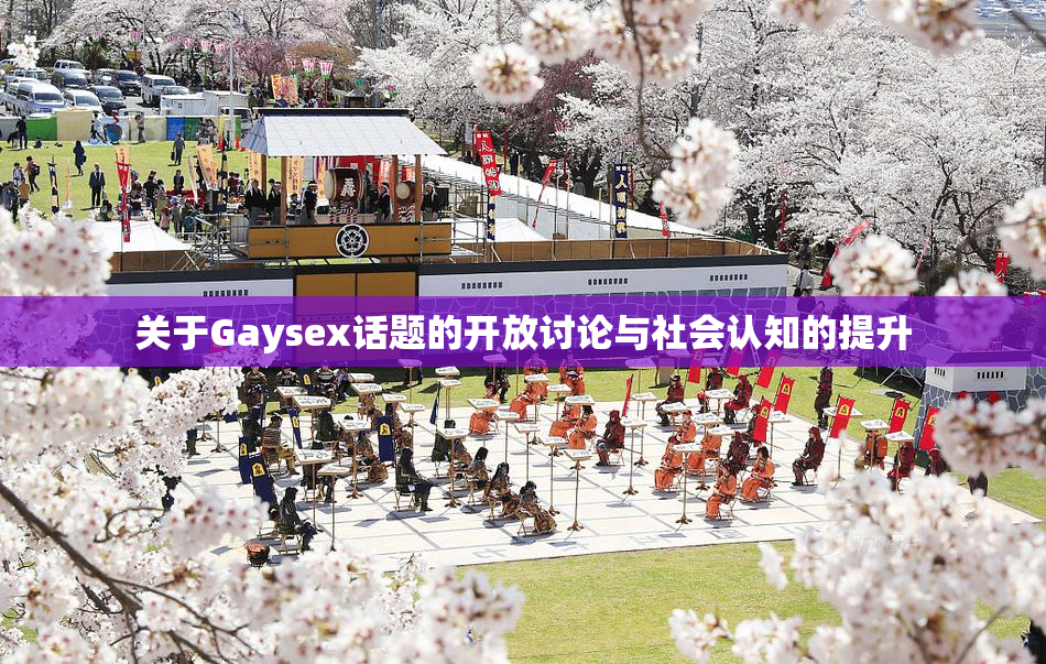 关于Gaysex话题的开放讨论与社会认知的提升