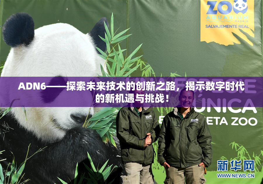 ADN6——探索未来技术的创新之路，揭示数字时代的新机遇与挑战！