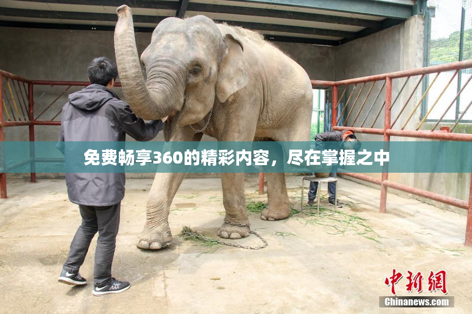 免费畅享360的精彩内容，尽在掌握之中