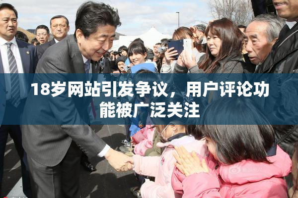 18岁网站引发争议，用户评论功能被广泛关注