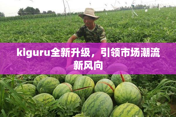 kiguru全新升级，引领市场潮流新风向