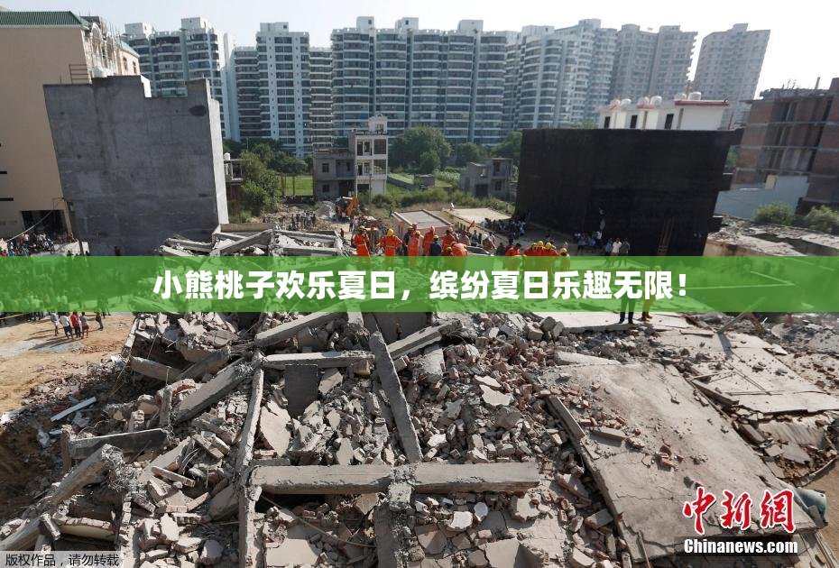 小熊桃子欢乐夏日，缤纷夏日乐趣无限！