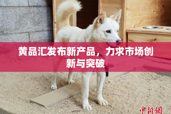 黄品汇发布新产品，力求市场创新与突破