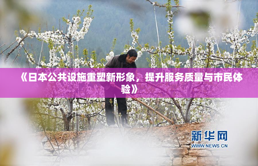 《日本公共设施重塑新形象，提升服务质量与市民体验》