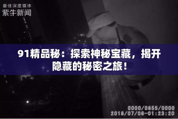 91精品秘：探索神秘宝藏，揭开隐藏的秘密之旅！