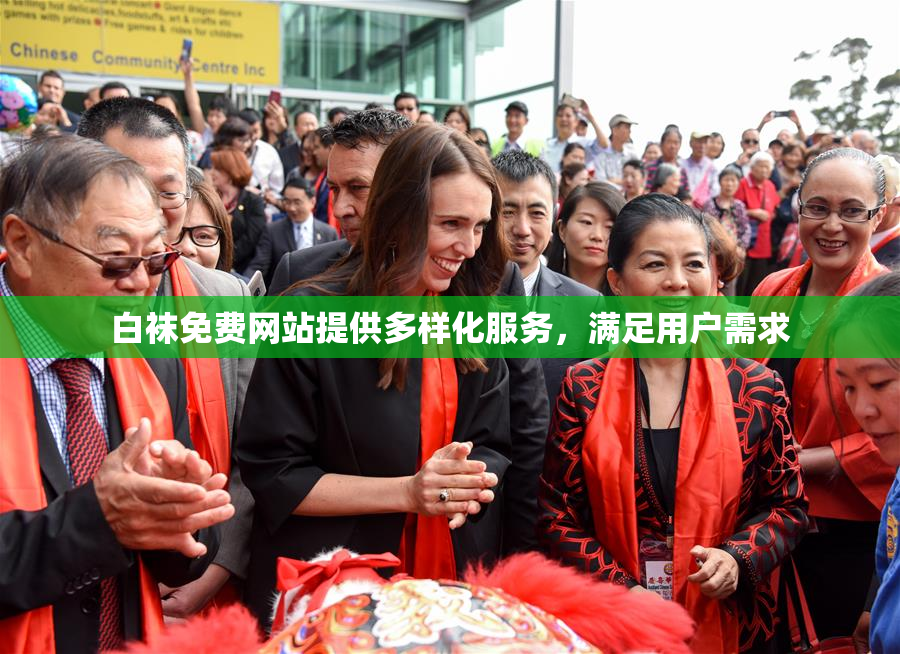 白袜免费网站提供多样化服务，满足用户需求