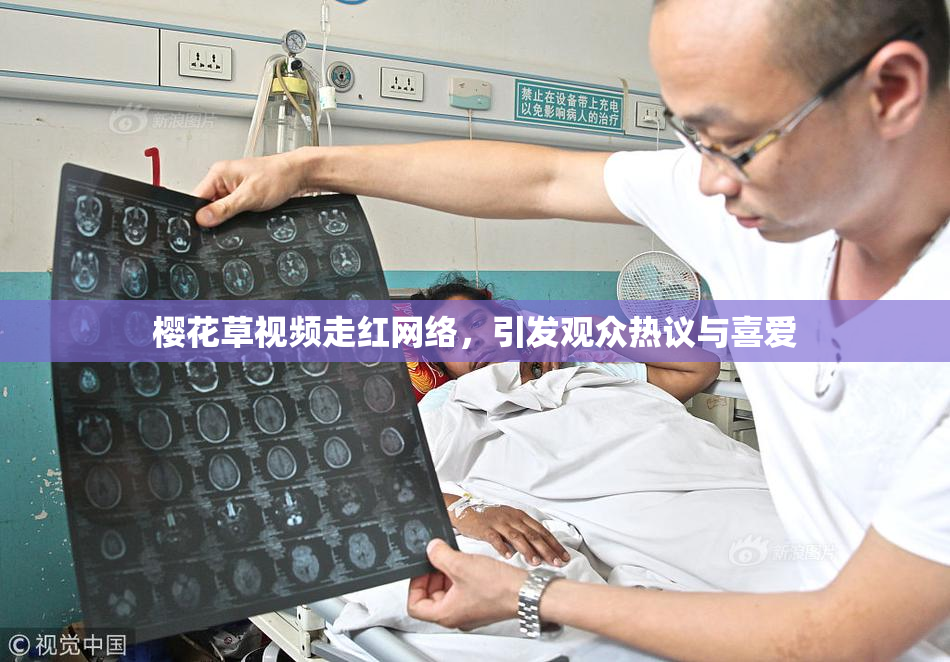 樱花草视频走红网络，引发观众热议与喜爱