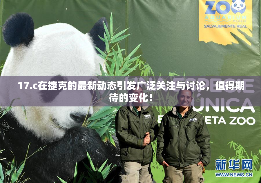 17.c在捷克的最新动态引发广泛关注与讨论，值得期待的变化！