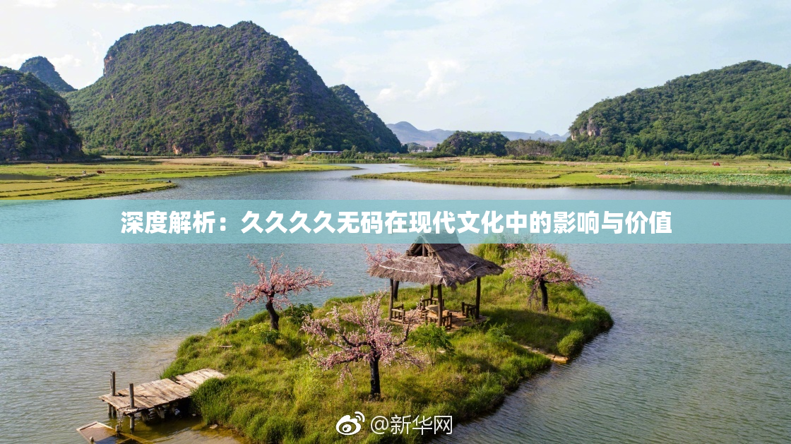 深度解析：久久久久无码在现代文化中的影响与价值