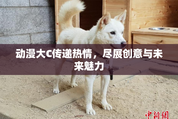 动漫大C传递热情，尽展创意与未来魅力