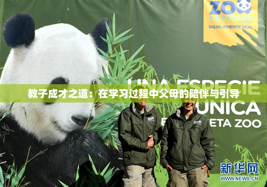 教子成才之道：在学习过程中父母的陪伴与引导