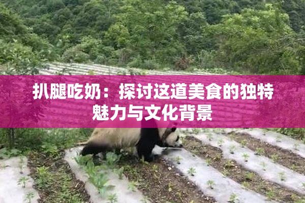 扒腿吃奶：探讨这道美食的独特魅力与文化背景