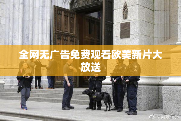 全网无广告免费观看欧美新片大放送