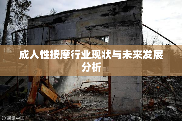 成人性按摩行业现状与未来发展分析