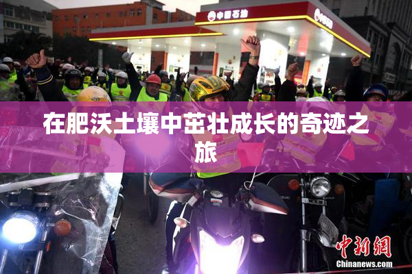 在肥沃土壤中茁壮成长的奇迹之旅
