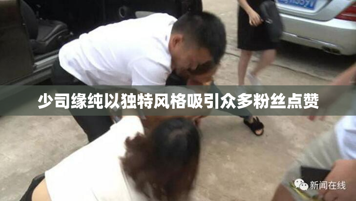 少司缘纯以独特风格吸引众多粉丝点赞