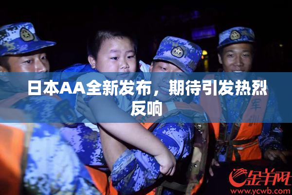 日本AA全新发布，期待引发热烈反响