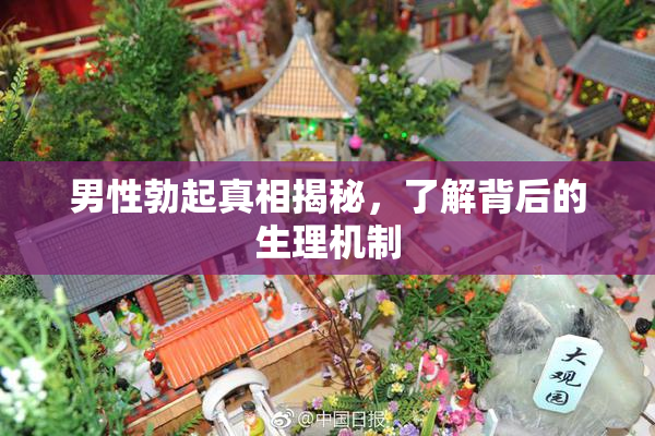 男性勃起真相揭秘，了解背后的生理机制