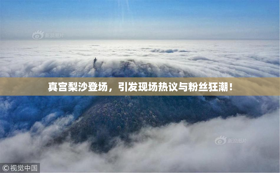 真宫梨沙登场，引发现场热议与粉丝狂潮！