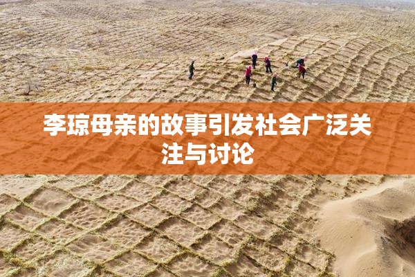 李琼母亲的故事引发社会广泛关注与讨论