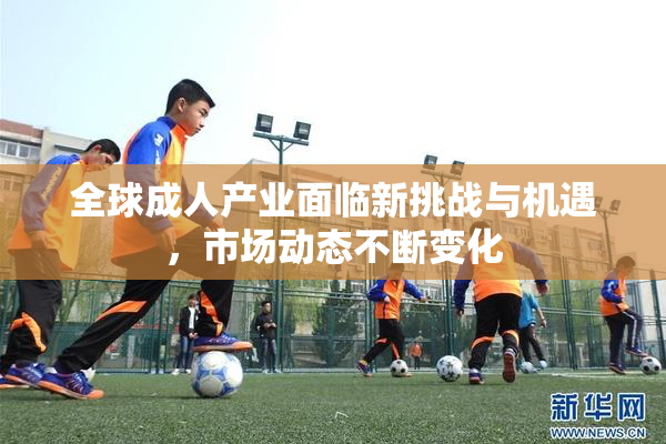 全球成人产业面临新挑战与机遇，市场动态不断变化