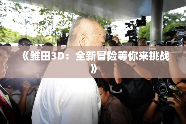 《雏田3D：全新冒险等你来挑战》