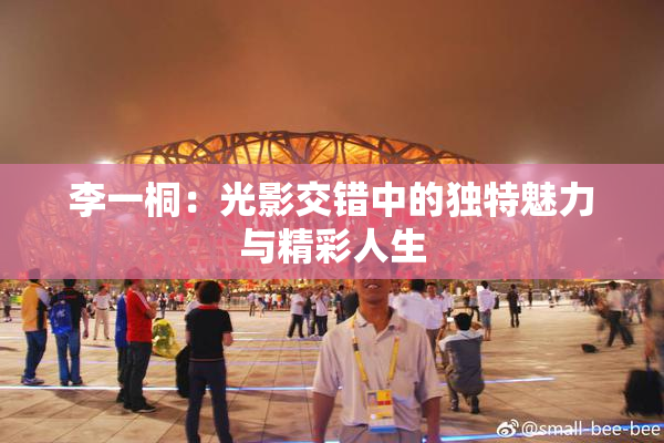 李一桐：光影交错中的独特魅力与精彩人生