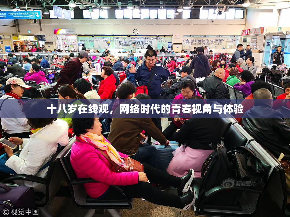 十八岁在线观，网络时代的青春视角与体验